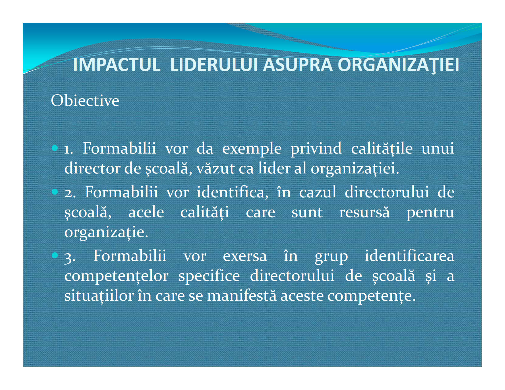 201807 A3.3 Impactul liderului asupra organizaţiei Raciu 1